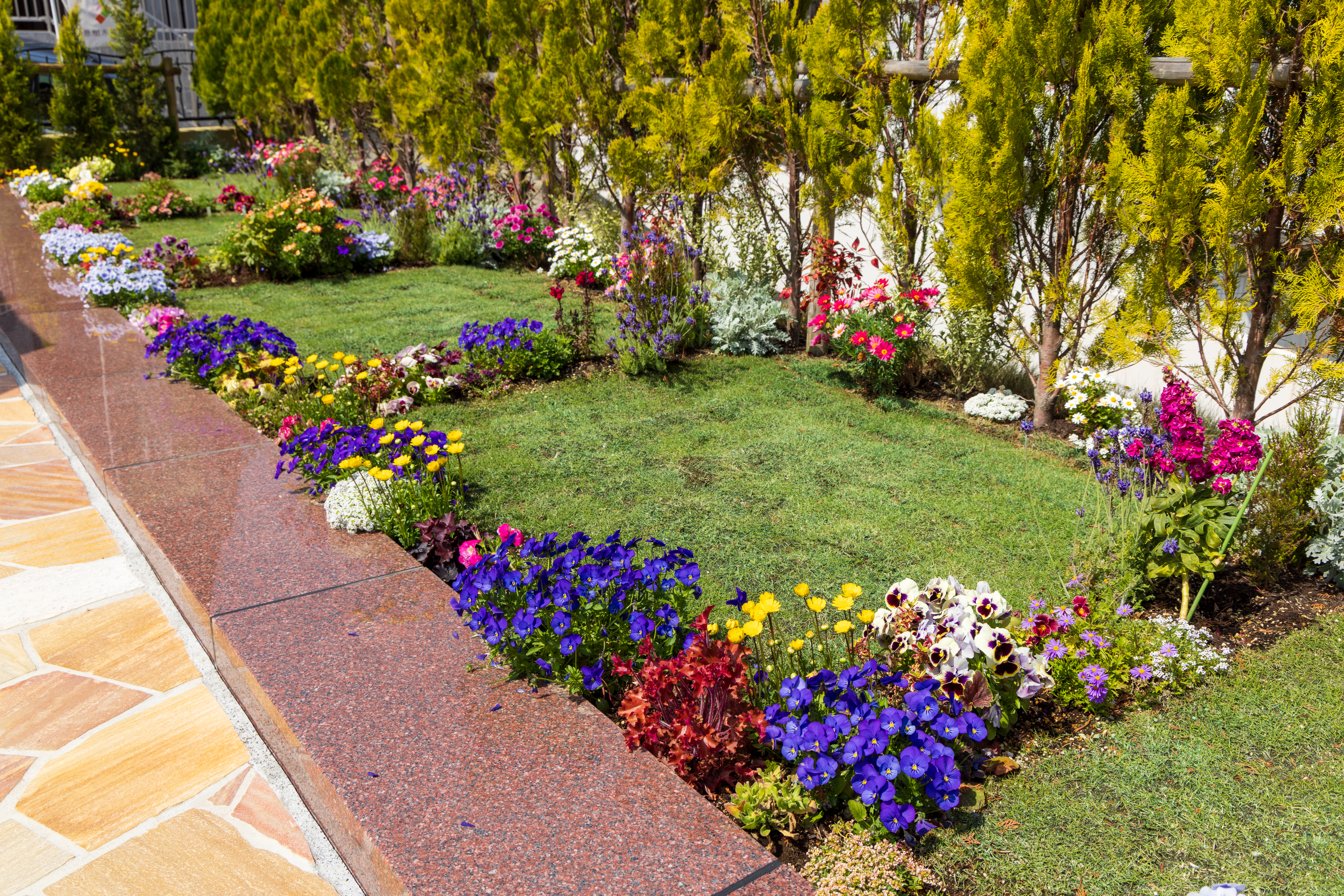 千葉市平和公園風景
