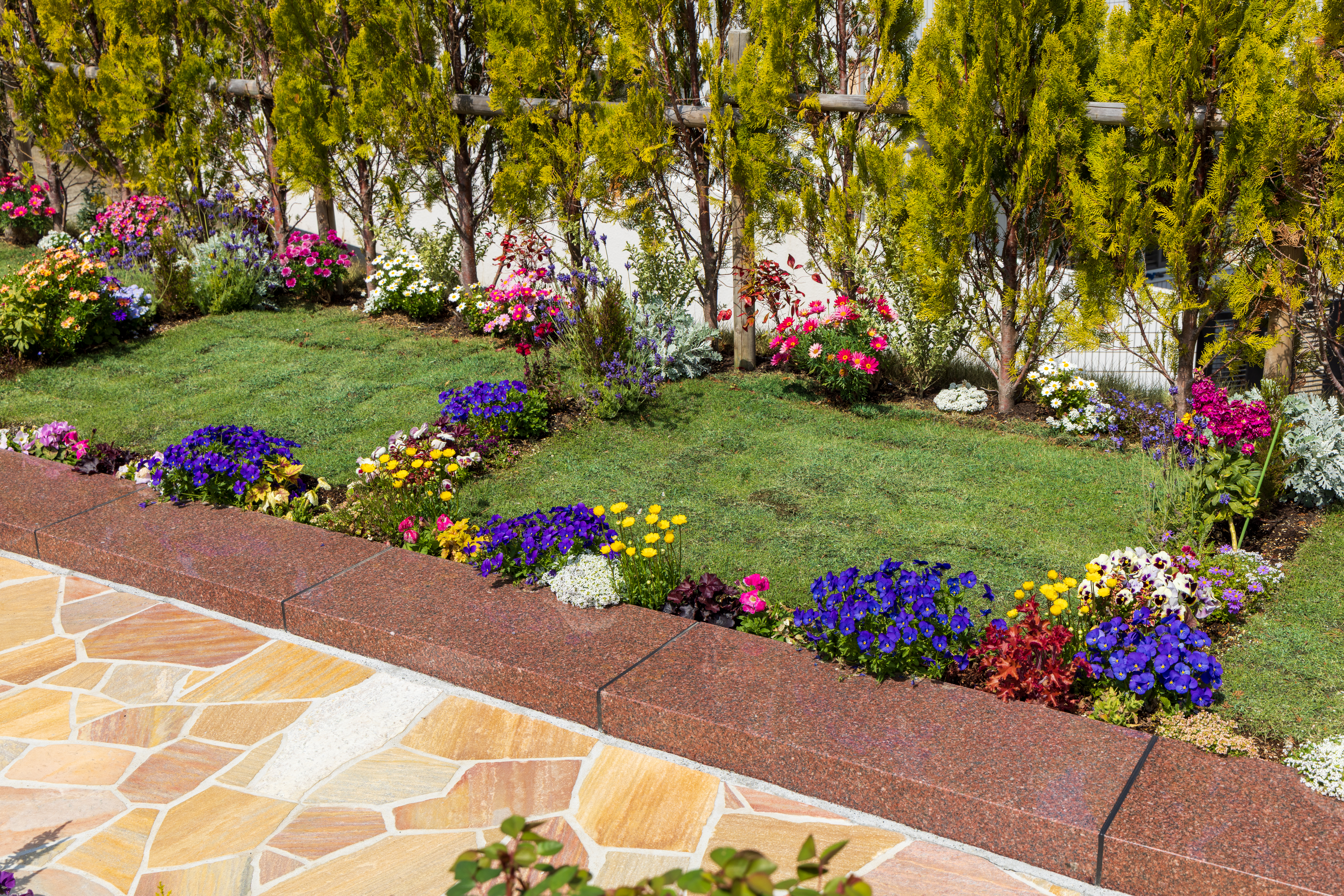 千葉市平和公園風景