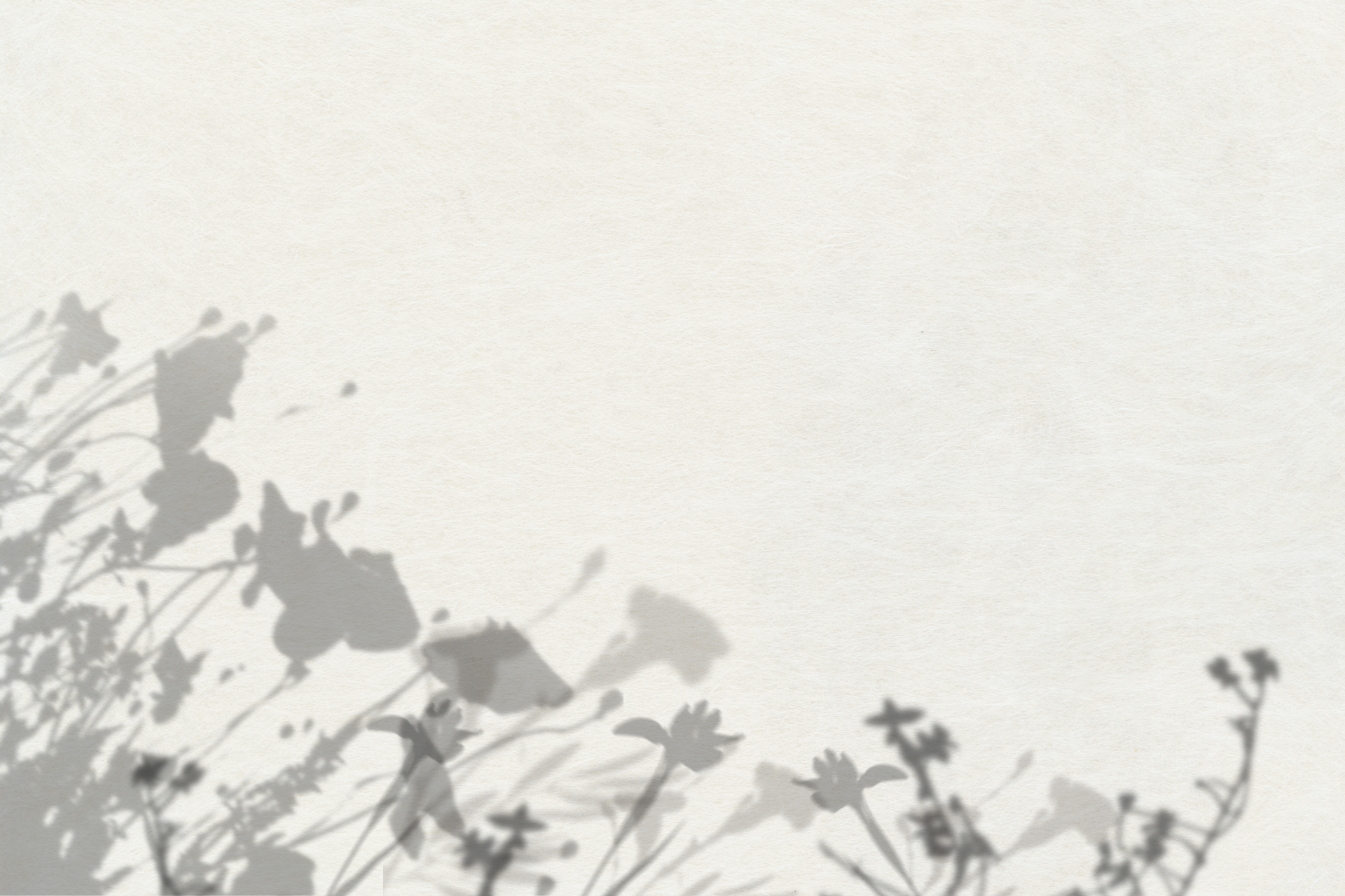 千葉市平和公園